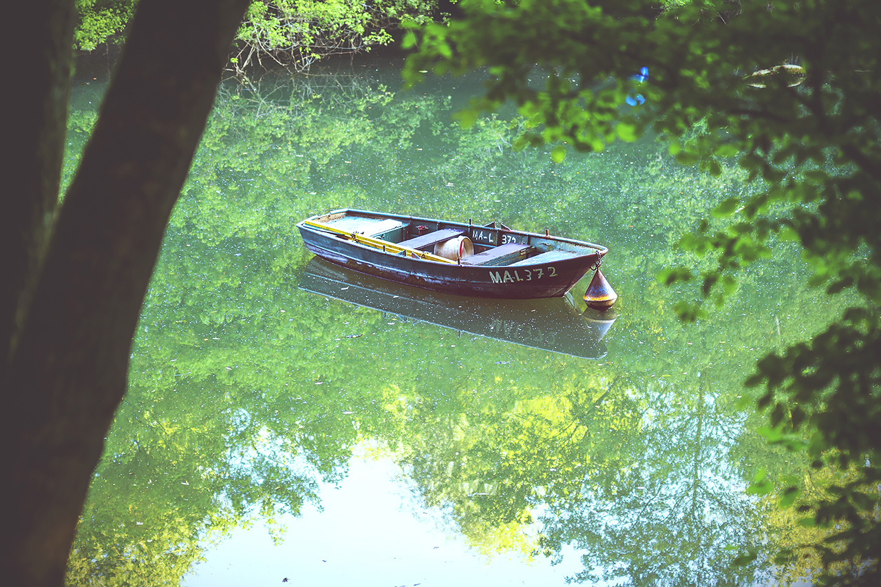 Ruderboot in einem Altrheinarm